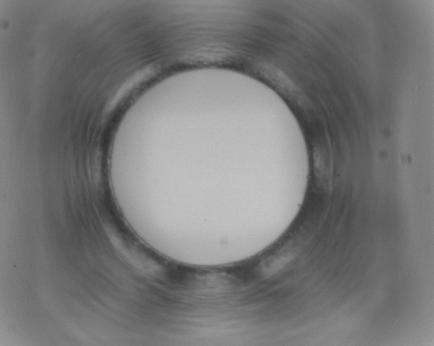 X0000076250396200610122210