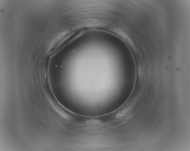 X0000076250397200610122210