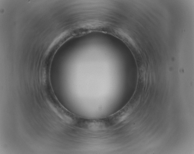 X0000076250400200610122210