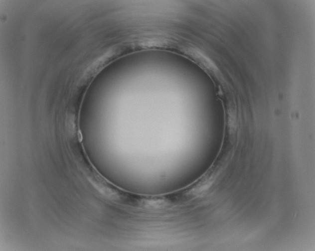 X0000076250401200610122210