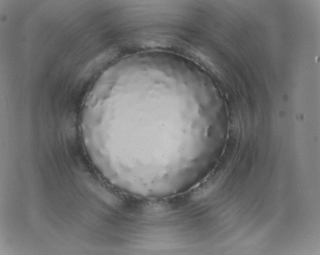 X0000076250402200610122210