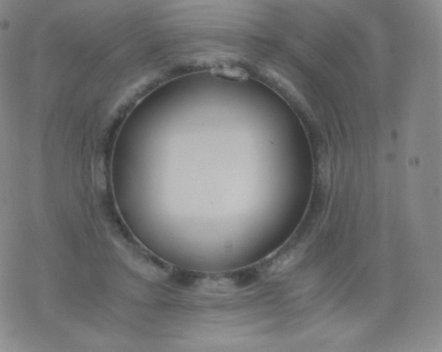 X0000076250403200610122210