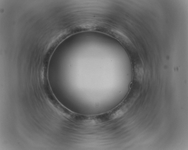 X0000076250404200610122210