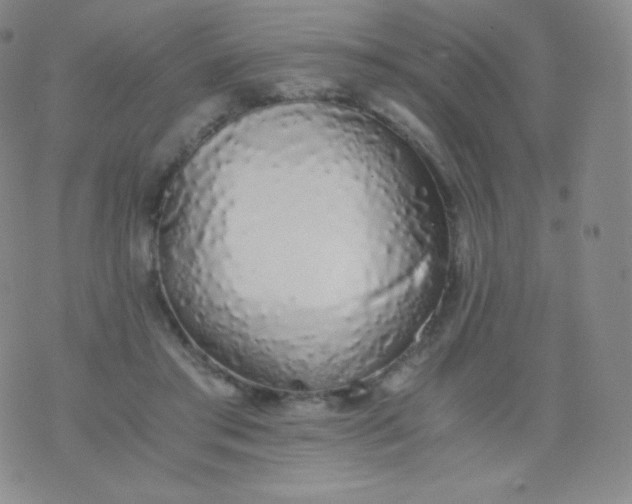 X0000076250405200610122210