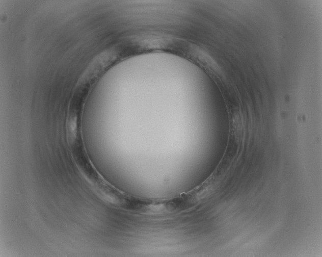 X0000076250406200610122210