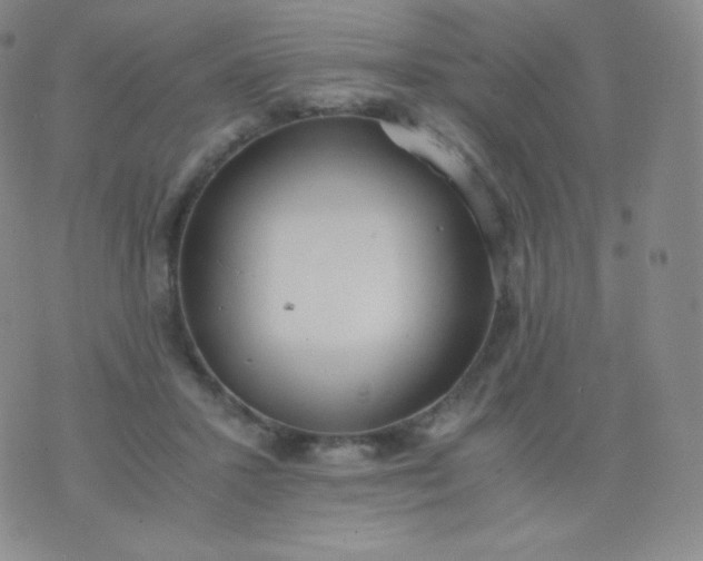 X0000076250407200610122210