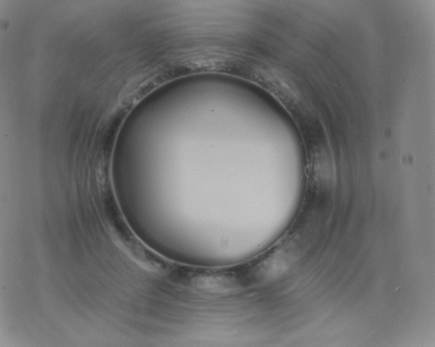 X0000076250408200610122210