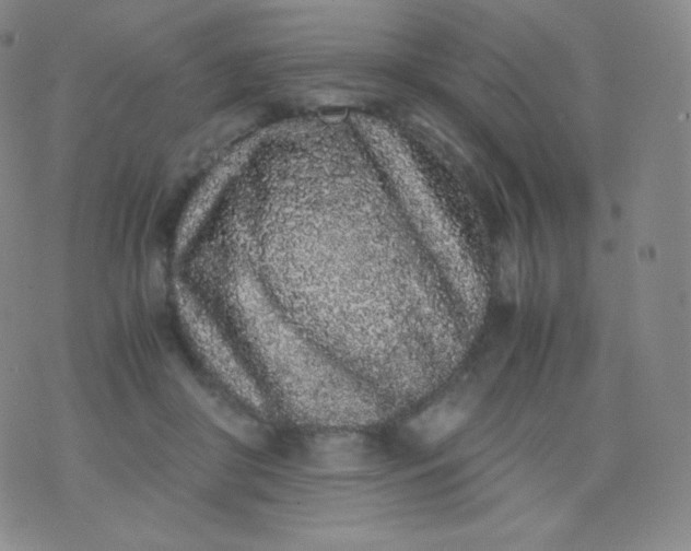 X0000076250410200610122210