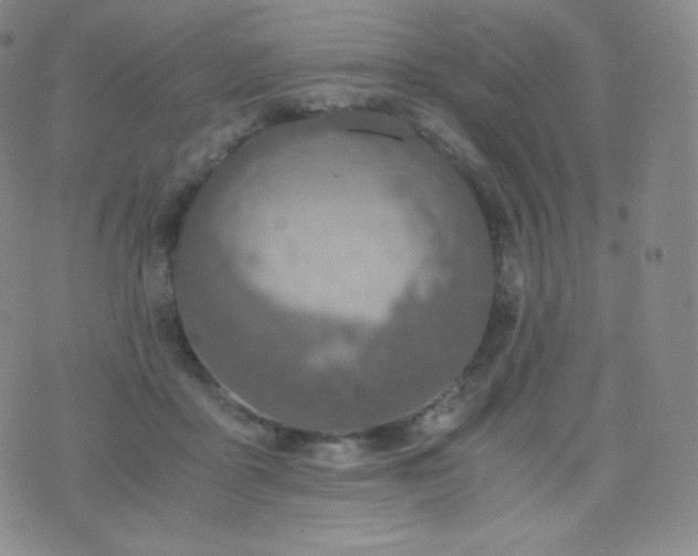 X0000076250411200610122210