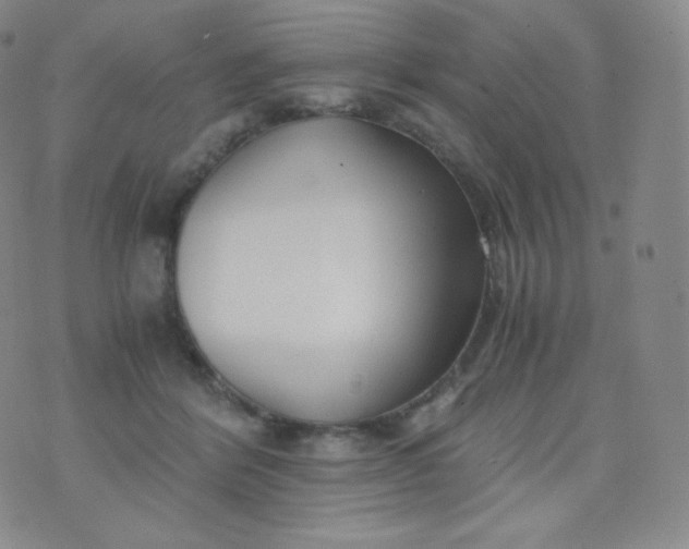 X0000076250412200610122210