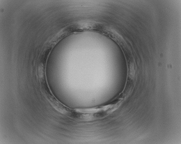 X0000076250413200610122210