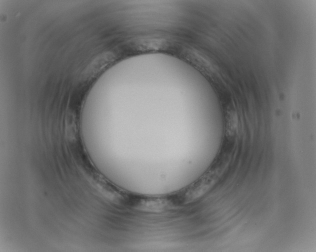 X0000076250414200610122210