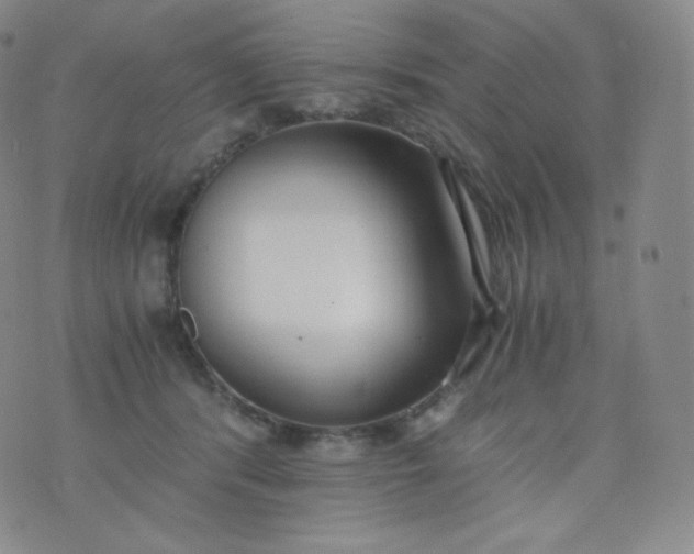 X0000076250416200610122210