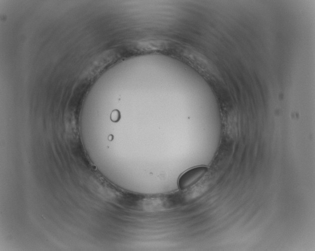 X0000076250418200610122210