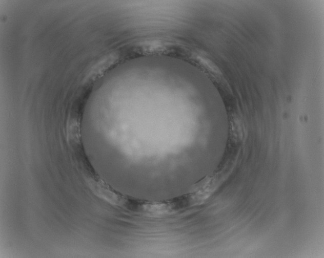 X0000076250419200610122210