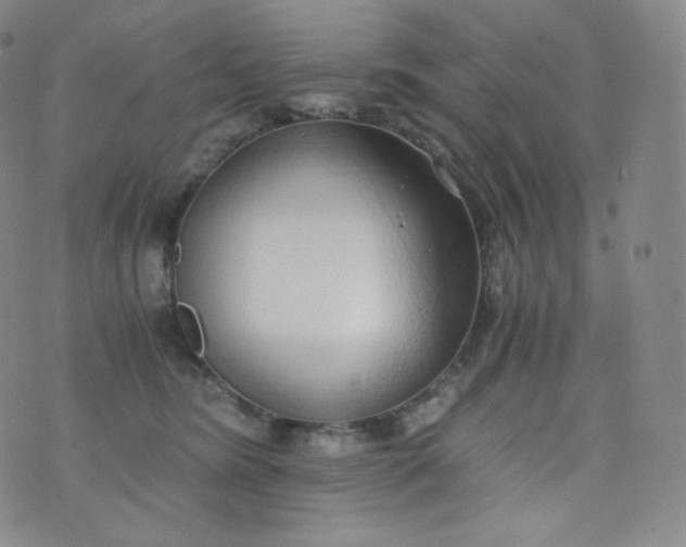 X0000076250420200610122210