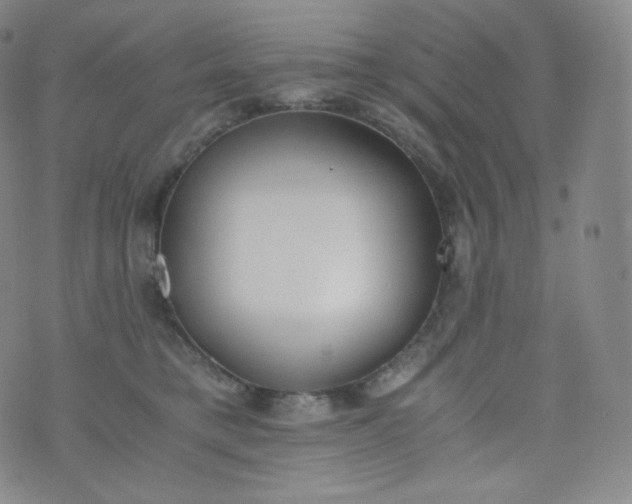 X0000076250421200610122210