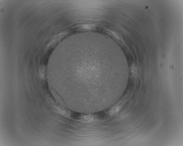 X0000076250423200610122210