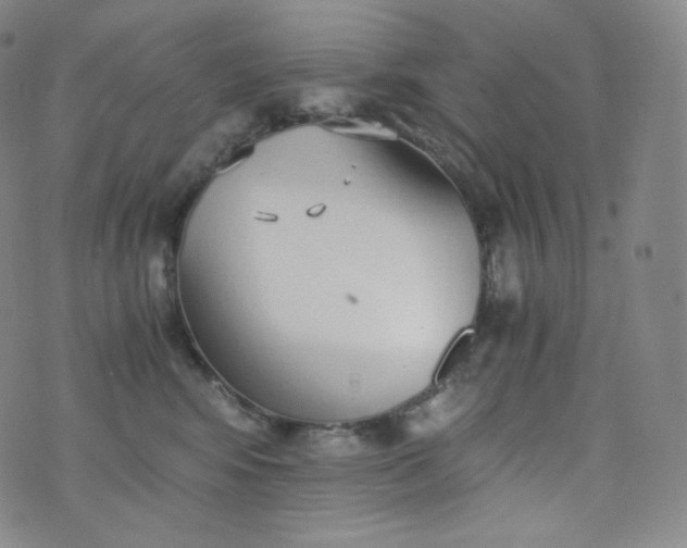 X0000076250424200610122210