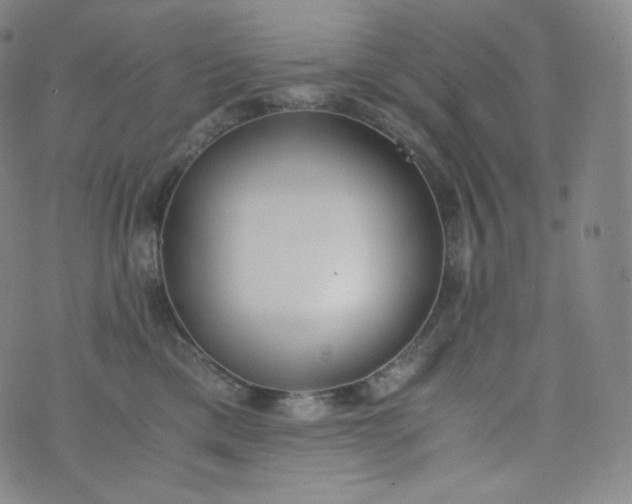 X0000076250425200610122210