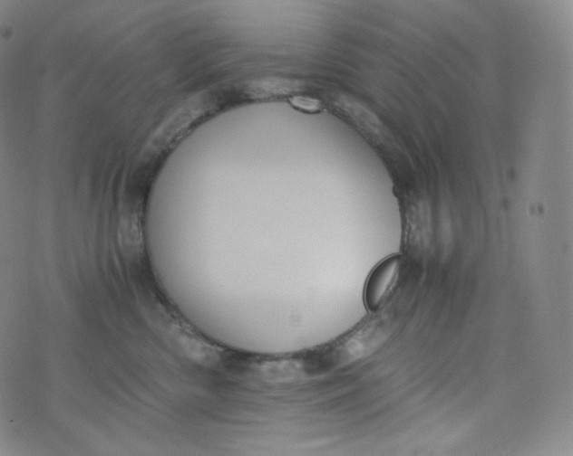 X0000076250426200610122210