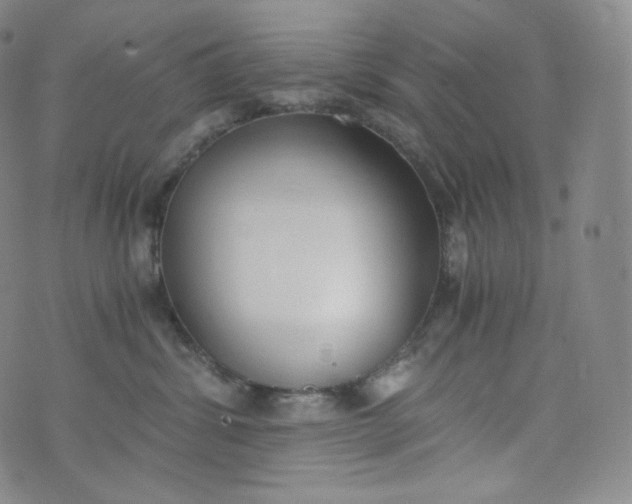 X0000076250428200610122210