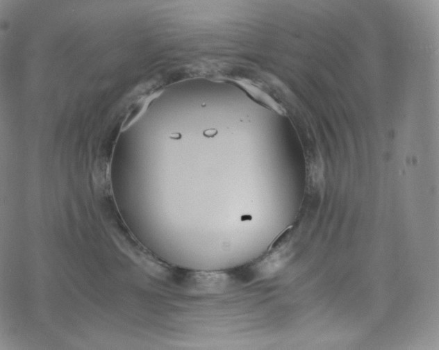 X0000076250429200610122210