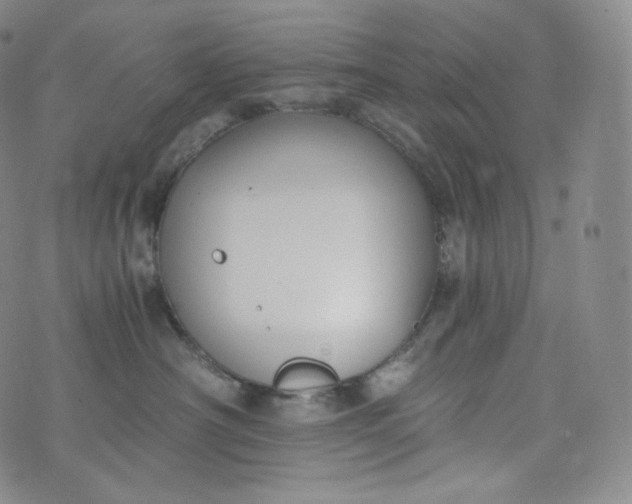 X0000076250430200610122210