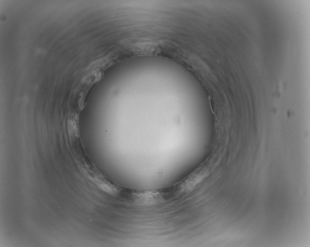 X0000076250432200610122210