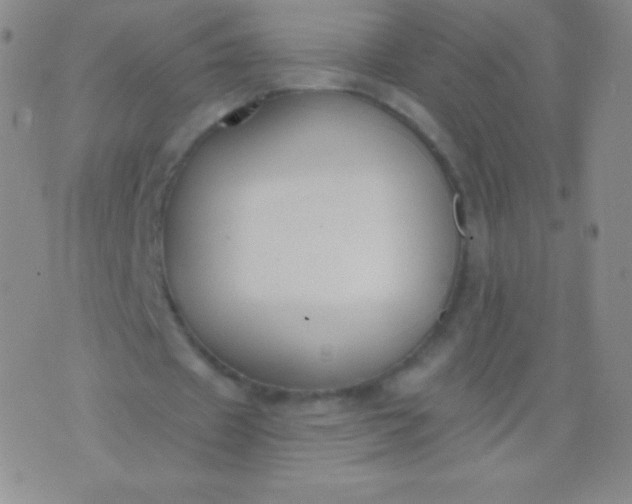 X0000076250433200610122209