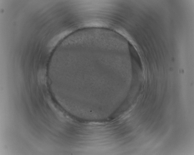 X0000076250434200610122209