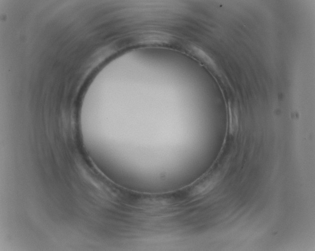 X0000076250435200610122209