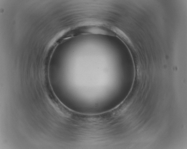 X0000076250436200610122209