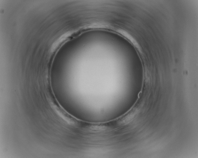 X0000076250437200610122209