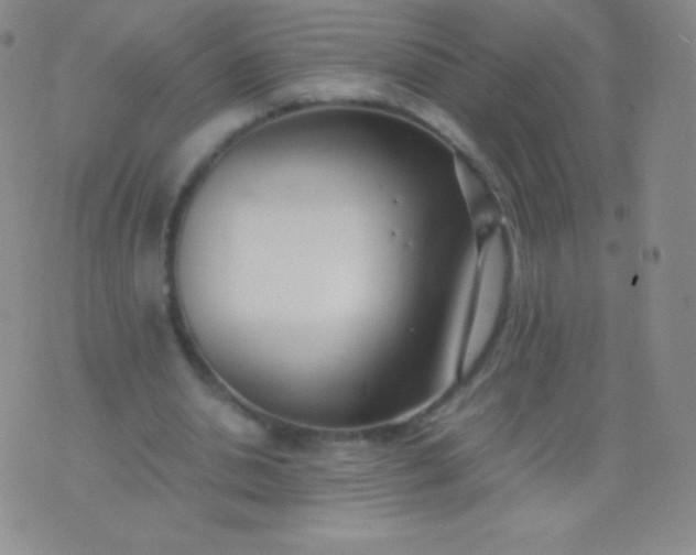 X0000076250438200610122209