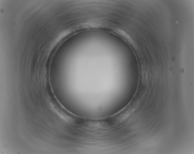 X0000076250439200610122209