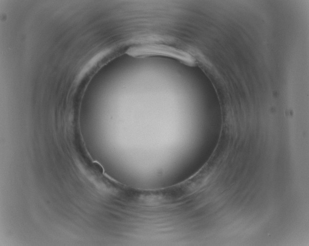 X0000076250440200610122209