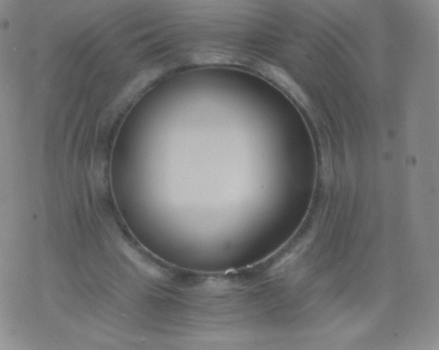 X0000076250441200610122209