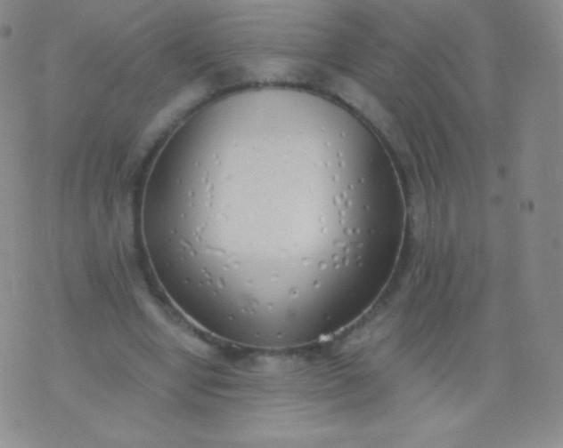 X0000076250442200610122209