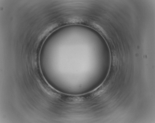 X0000076250443200610122209