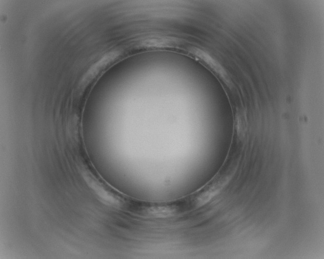 X0000076250445200610122209