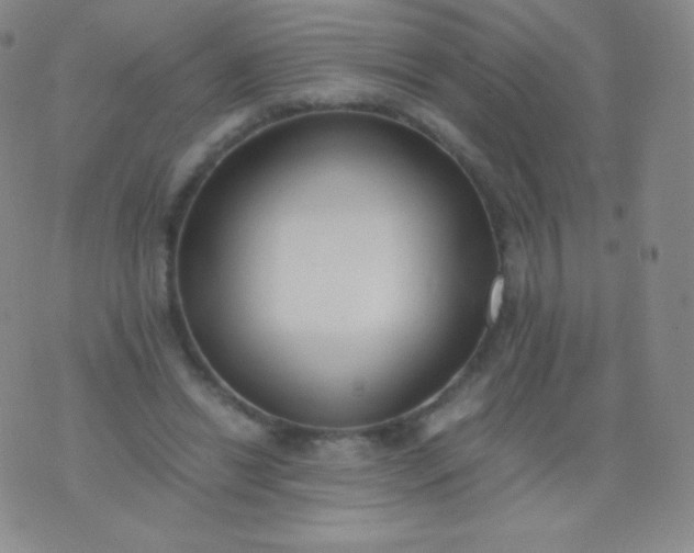 X0000076250446200610122209