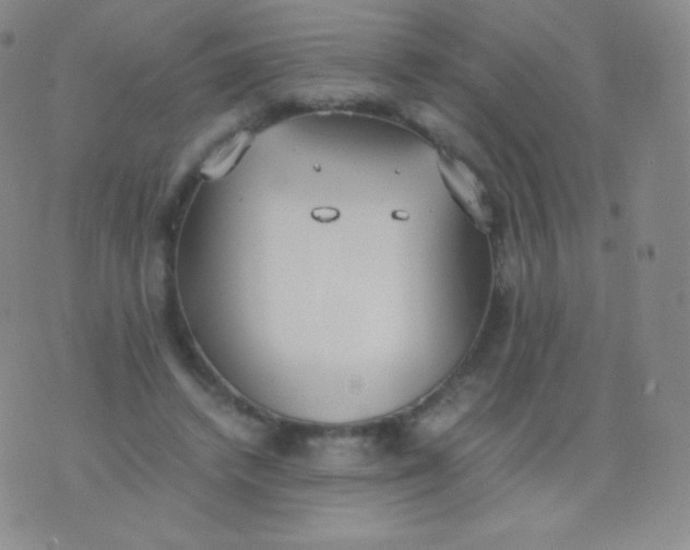 X0000076250448200610122209