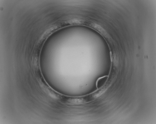 X0000076250449200610122209