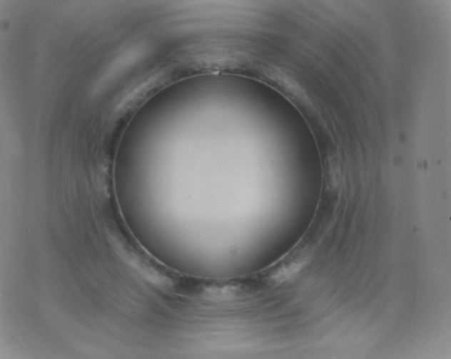 X0000076250450200610122209