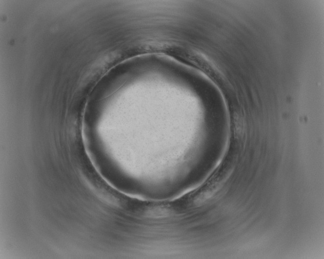 X0000076250451200610122209