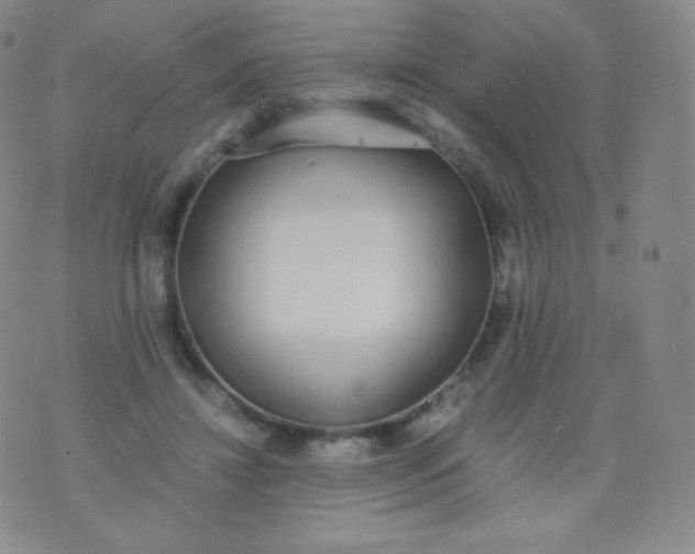 X0000076250452200610122209