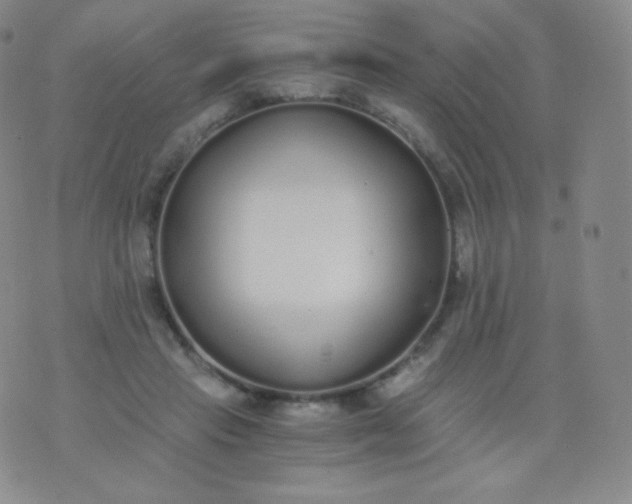 X0000076250453200610122209