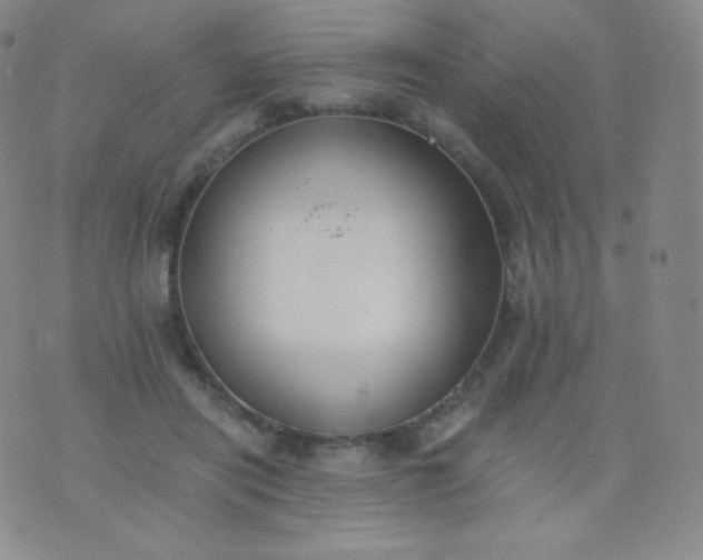 X0000076250454200610122209