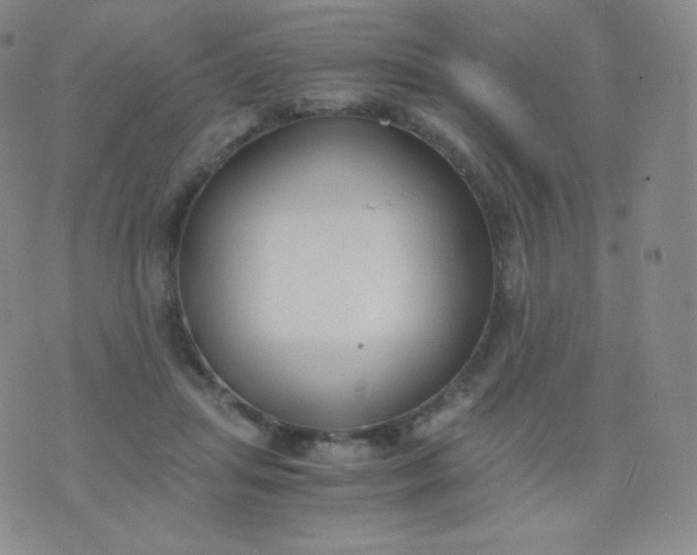 X0000076250455200610122209